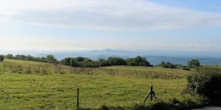 Deer leap